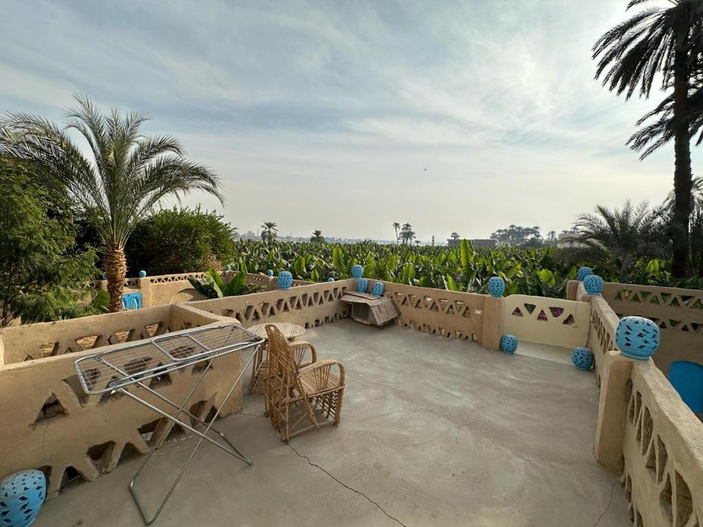 Villa Rebecca Professor'S Paradise ลักซอร์ ภายนอก รูปภาพ