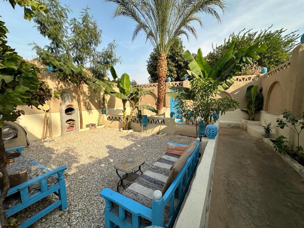Villa Rebecca Professor'S Paradise ลักซอร์ ภายนอก รูปภาพ